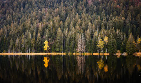 Gemeinde Lohberg Landkreis Cham Kleiner Arbersee (Dirschl Johann) Deutschland CHA